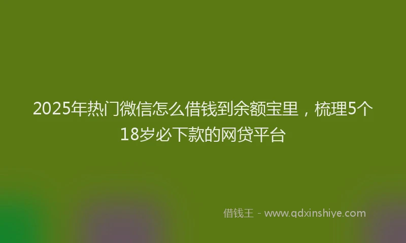 2025年热门微信怎么借钱到余额宝里，梳理5个18岁必下款的网贷平台