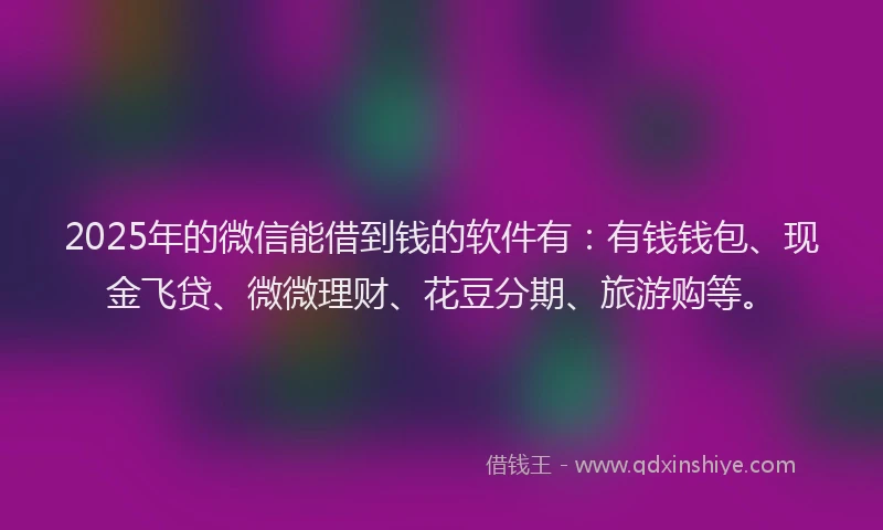 2025年的微信能借到钱的软件有:有钱钱包、现金飞贷、微微理财、花豆分期、旅游购等。