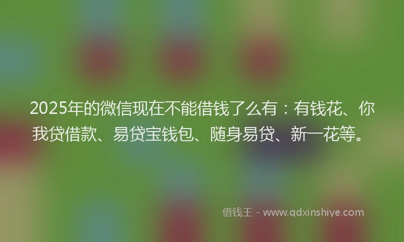2025年的微信现在不能借钱了么有：有钱花、你我贷借款、易贷宝钱包、随身易贷、新一花等。