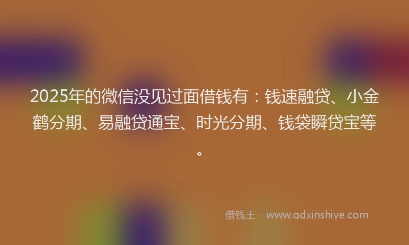 2025年的微信没见过面借钱有：钱速融贷、小金鹤分期、易融贷通宝、时光分期、钱袋瞬贷宝等。