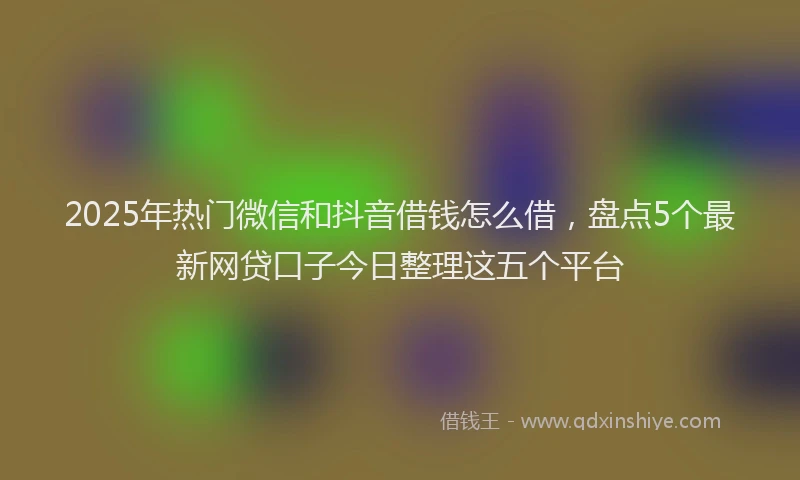 2025年热门微信和抖音借钱怎么借，盘点5个最新网贷口子今日整理这五个平台