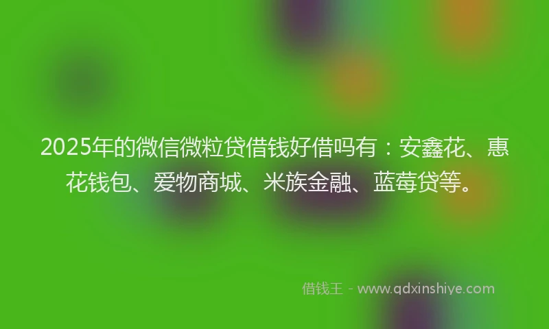 2025年的微信微粒贷借钱好借吗有：安鑫花、惠花钱包、爱物商城、米族金融、蓝莓贷等。