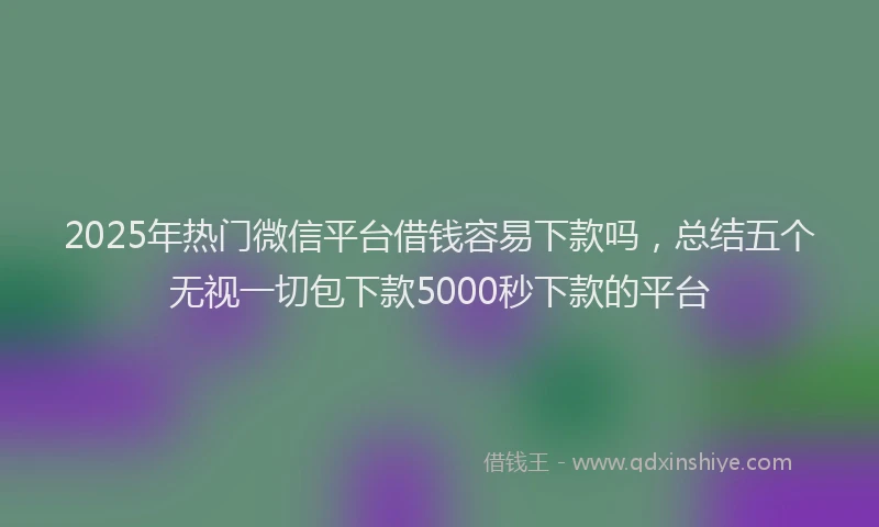 2025年热门微信平台借钱容易下款吗，总结五个无视一切包下款5000秒下款的平台