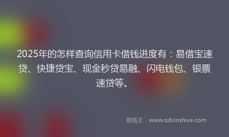 2025年的怎样查询信用卡借钱进度有：易借宝速贷、快捷贷宝、现金秒贷易融、闪电钱包、银票速贷等。