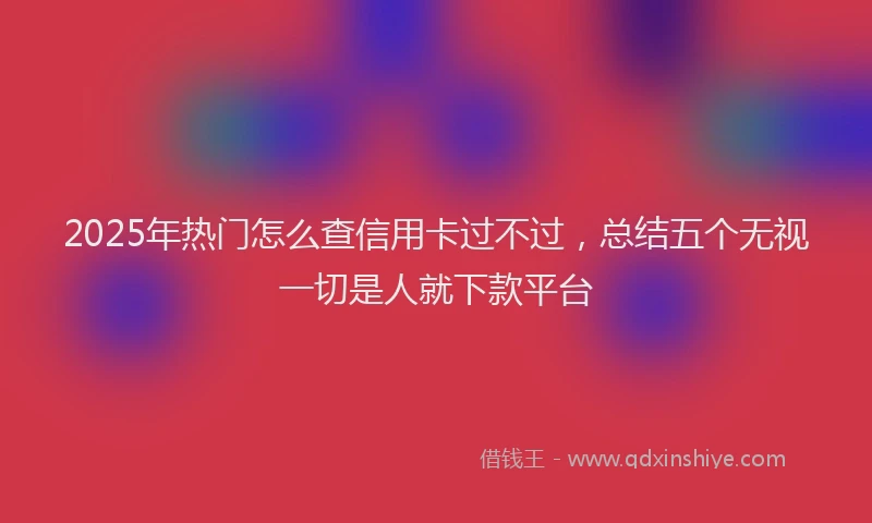 2025年热门怎么查信用卡过不过，总结五个无视一切是人就下款平台