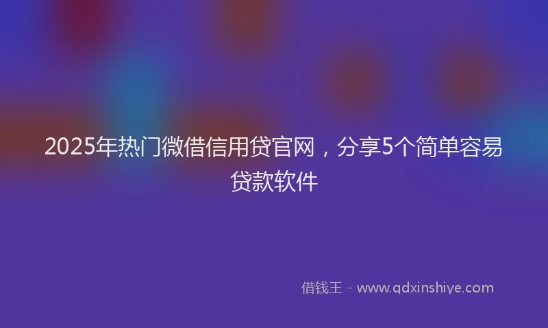 2025年热门微借信用贷官网，分享5个简单容易贷款软件