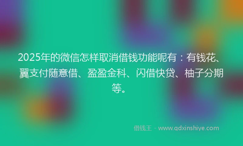 2025年的微信怎样取消借钱功能呢有：有钱花、翼支付随意借、盈盈金科、闪借快贷、柚子分期等。