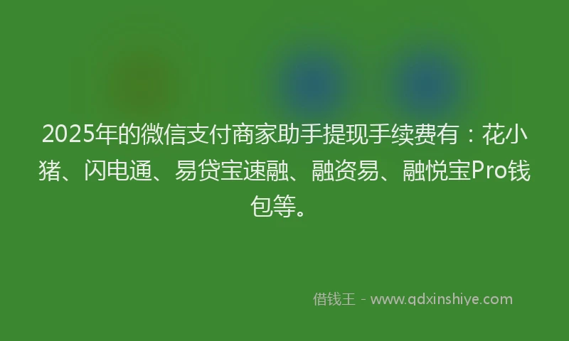 2025年的微信支付商家助手提现手续费有：花小猪、闪电通、易贷宝速融、融资易、融悦宝Pro钱包等。