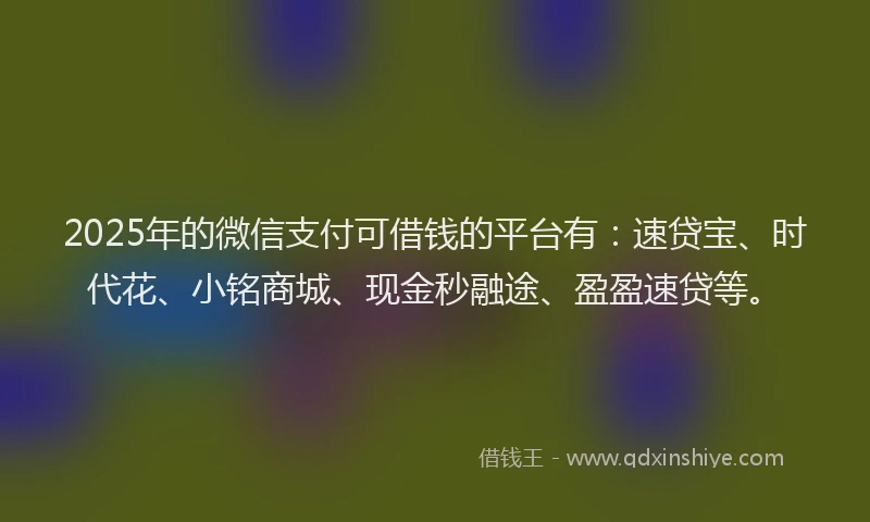 2025年的微信支付可借钱的平台有：速贷宝、时代花、小铭商城、现金秒融途、盈盈速贷等。