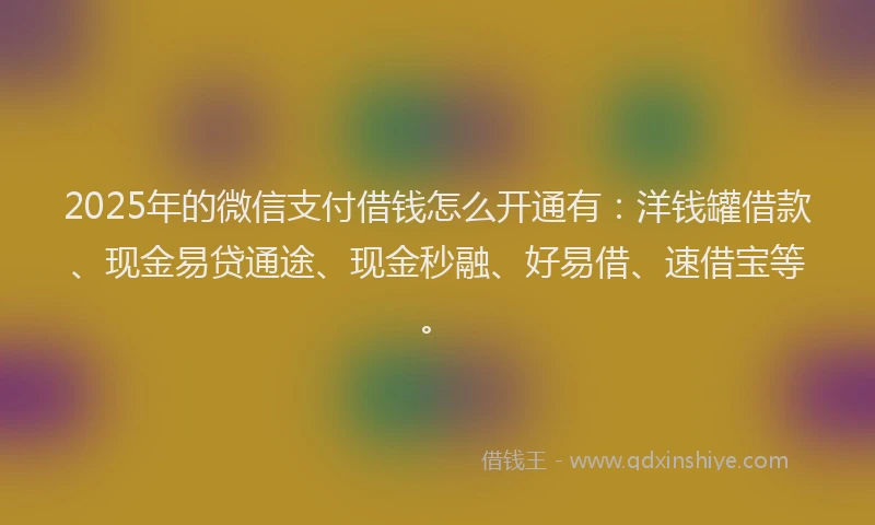 2025年的微信支付借钱怎么开通有：洋钱罐借款、现金易贷通途、现金秒融、好易借、速借宝等。