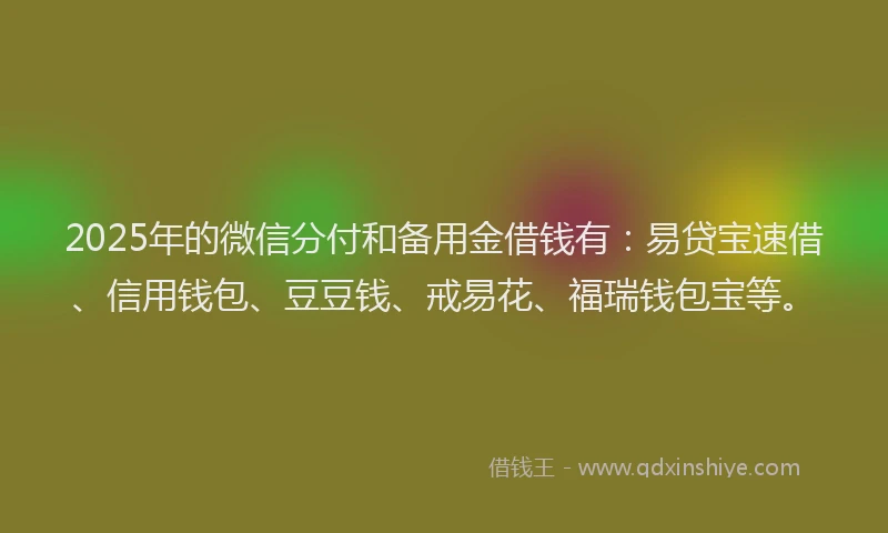 2025年的微信分付和备用金借钱有：易贷宝速借、信用钱包、豆豆钱、戒易花、福瑞钱包宝等。