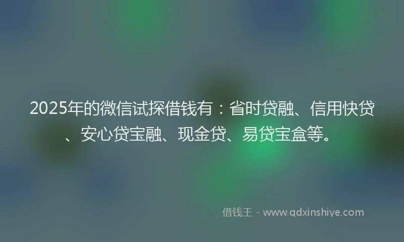 2025年的微信试探借钱有：省时贷融、信用快贷、安心贷宝融、现金贷、易贷宝盒等。