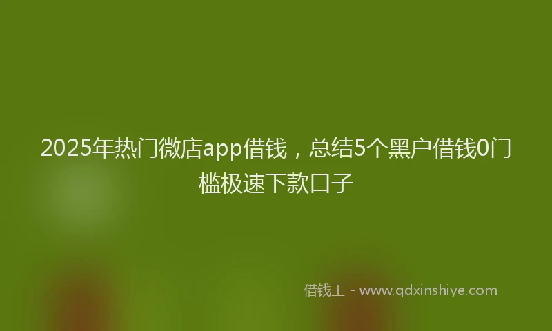 2025年热门微店app借钱，总结5个黑户借钱0门槛极速下款口子