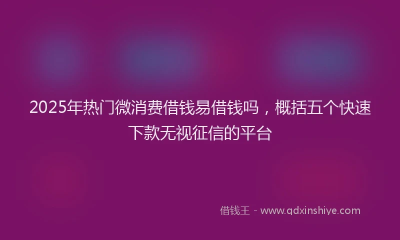 2025年热门微消费借钱易借钱吗，概括五个快速下款无视征信的平台
