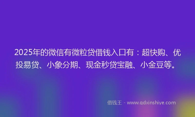 2025年的微信有微粒贷借钱入口有：超快购、优投易贷、小象分期、现金秒贷宝融、小金豆等。