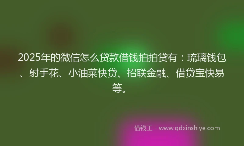 2025年的微信怎么贷款借钱拍拍贷有：琉璃钱包、射手花、小油菜快贷、招联金融、借贷宝快易等。