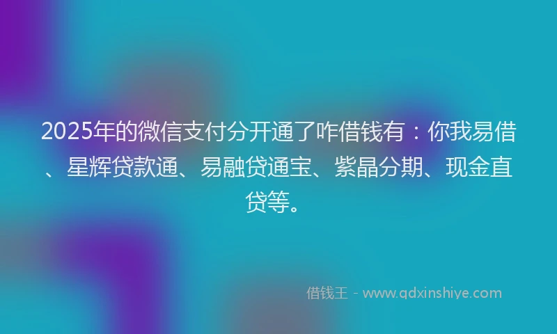 2025年的微信支付分开通了咋借钱有：你我易借、星辉贷款通、易融贷通宝、紫晶分期、现金直贷等。