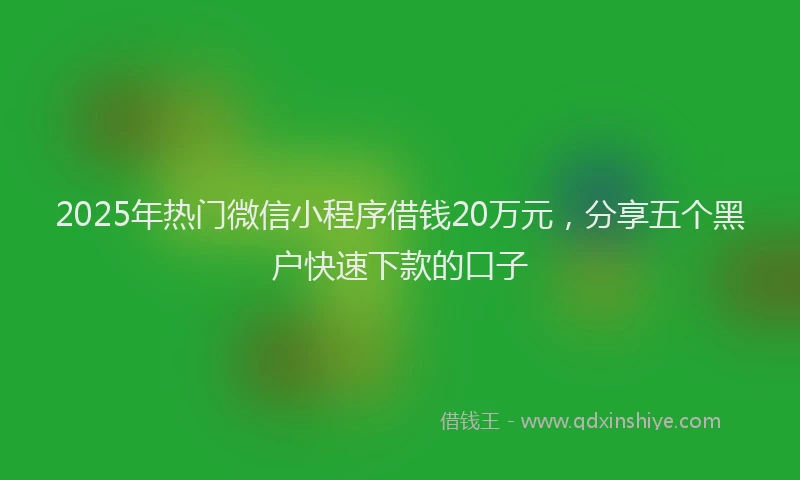 2025年热门微信小程序借钱20万元，分享五个黑户快速下款的口子