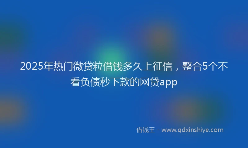 2025年热门微贷粒借钱多久上征信，整合5个不看负债秒下款的网贷app