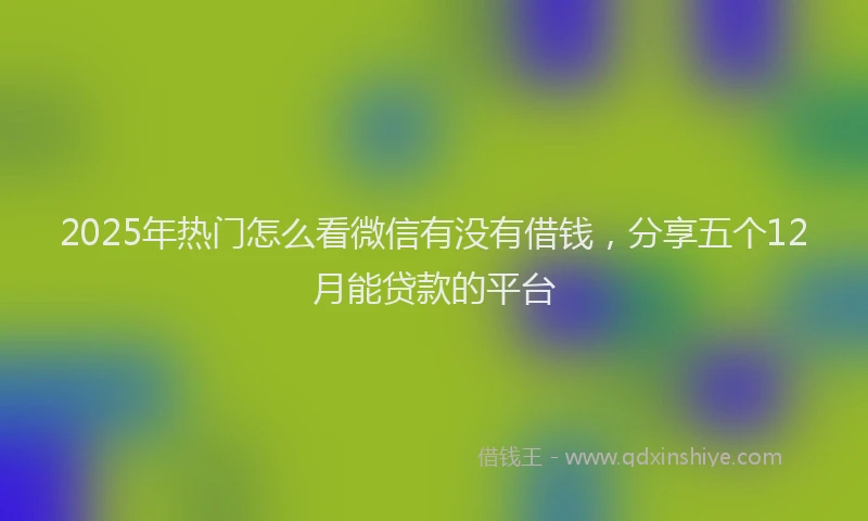 2025年热门怎么看微信有没有借钱，分享五个12月能贷款的平台