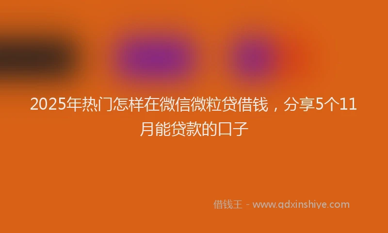 2025年热门怎样在微信微粒贷借钱，分享5个11月能贷款的口子