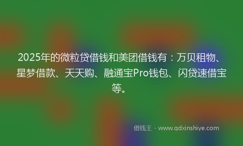 2025年的微粒贷借钱和美团借钱有：万贝租物、星梦借款、天天购、融通宝Pro钱包、闪贷速借宝等。