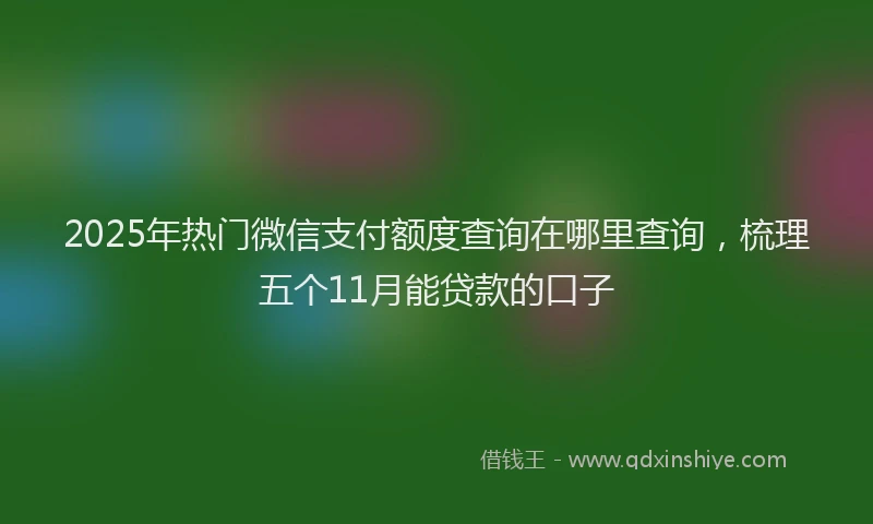 2025年热门微信支付额度查询在哪里查询，梳理五个11月能贷款的口子