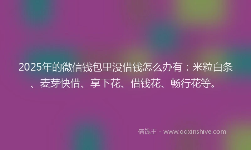 2025年的微信钱包里没借钱怎么办有：米粒白条、麦芽快借、享下花、借钱花、畅行花等。