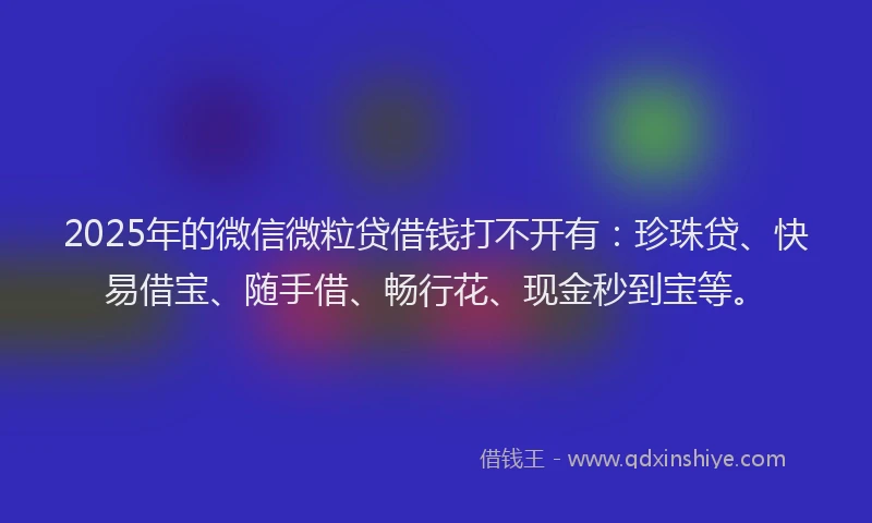 2025年的微信微粒贷借钱打不开有：珍珠贷、快易借宝、随手借、畅行花、现金秒到宝等。