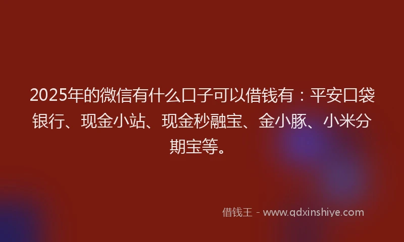 2025年的微信有什么口子可以借钱有：平安口袋银行、现金小站、现金秒融宝、金小豚、小米分期宝等。