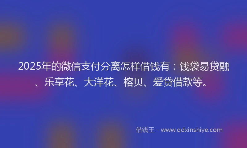 2025年的微信支付分离怎样借钱有:钱袋易贷融、乐享花、大洋花、榕贝、爱贷借款等。