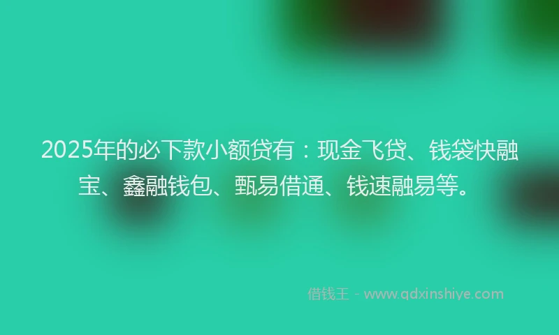 2025年的必下款小额贷有：现金飞贷、钱袋快融宝、鑫融钱包、甄易借通、钱速融易等。