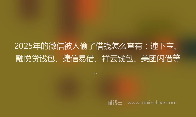 2025年的微信被人偷了借钱怎么查有：速下宝、融悦贷钱包、捷信易借、祥云钱包、美团闪借等。