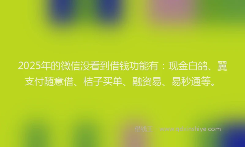 2025年的微信没看到借钱功能有：现金白鸽、翼支付随意借、桔子买单、融资易、易秒通等。