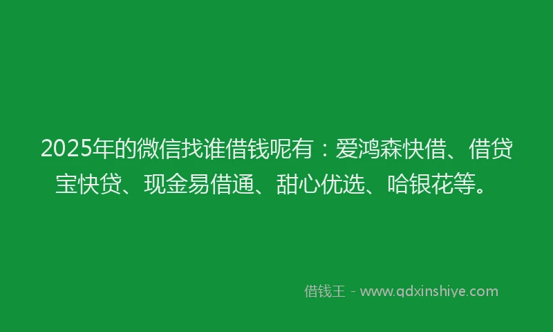 2025年的微信找谁借钱呢有：爱鸿森快借、借贷宝快贷、现金易借通、甜心优选、哈银花等。