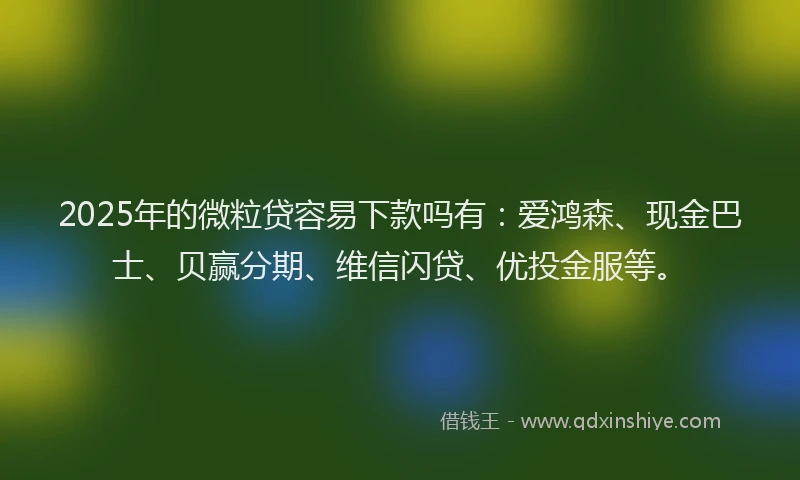 2025年的微粒贷容易下款吗有：爱鸿森、现金巴士、贝赢分期、维信闪贷、优投金服等。