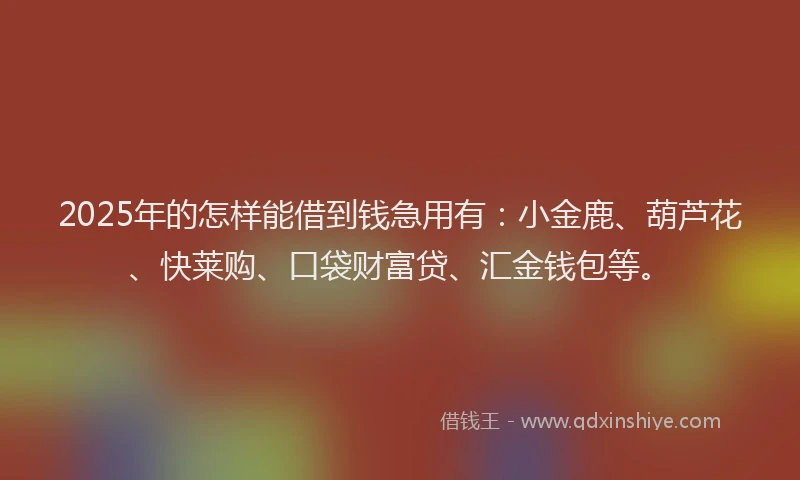 2025年的怎样能借到钱急用有：小金鹿、葫芦花、快莱购、口袋财富贷、汇金钱包等。