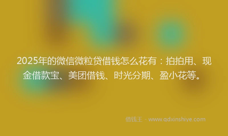 2025年的微信微粒贷借钱怎么花有：拍拍用、现金借款宝、美团借钱、时光分期、盈小花等。