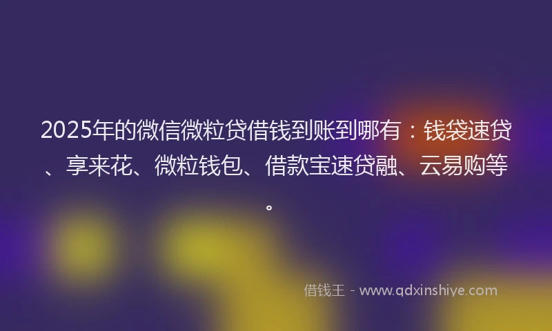 2025年的微信微粒贷借钱到账到哪有：钱袋速贷、享来花、微粒钱包、借款宝速贷融、云易购等。