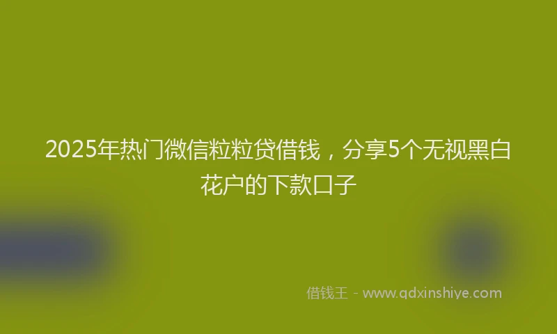 2025年热门微信粒粒贷借钱，分享5个无视黑白花户的下款口子