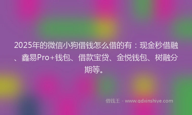 2025年的微信小狗借钱怎么借的有：现金秒借融、鑫易Pro+钱包、借款宝贷、金悦钱包、树融分期等。