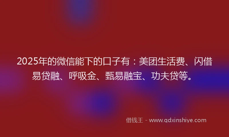 2025年的微信能下的口子有：美团生活费、闪借易贷融、呼吸金、甄易融宝、功夫贷等。