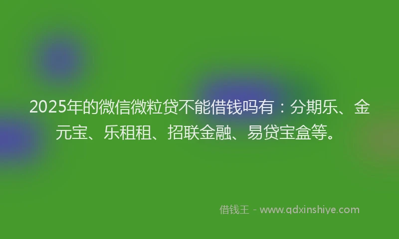 2025年的微信微粒贷不能借钱吗有：分期乐、金元宝、乐租租、招联金融、易贷宝盒等。