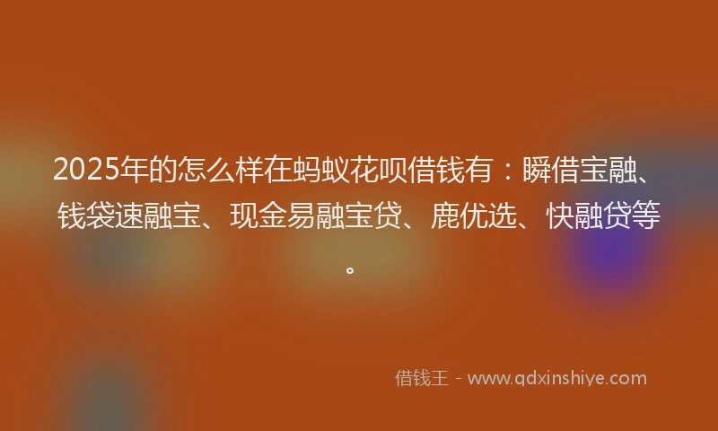 2025年的怎么样在蚂蚁花呗借钱有：瞬借宝融、钱袋速融宝、现金易融宝贷、鹿优选、快融贷等。