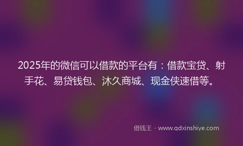 2025年的微信可以借款的平台有：借款宝贷、射手花、易贷钱包、沐久商城、现金侠速借等。