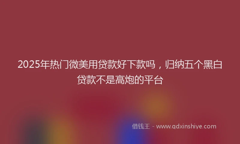 2025年热门微美用贷款好下款吗，归纳五个黑白贷款不是高炮的平台