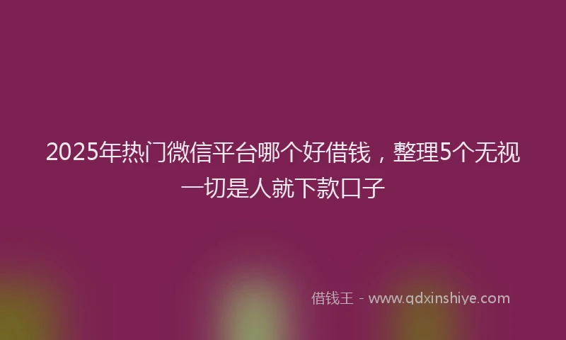 2025年热门微信平台哪个好借钱，整理5个无视一切是人就下款口子