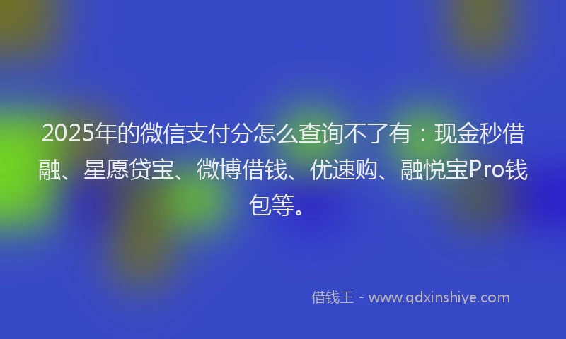 2025年的微信支付分怎么查询不了有:现金秒借融、星愿贷宝、微博借钱、优速购、融悦宝Pro钱包等。