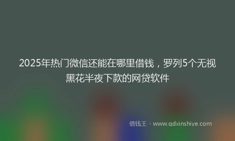 2025年热门微信还能在哪里借钱，罗列5个无视黑花半夜下款的网贷软件