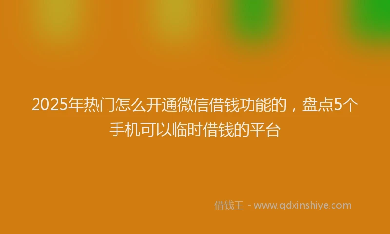 2025年热门怎么开通微信借钱功能的，盘点5个手机可以临时借钱的平台